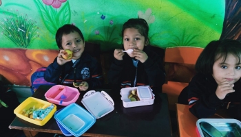 Fruit Party - Class Nursery To UKG Held On 20 Nov, 2019