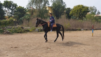 horseriding6